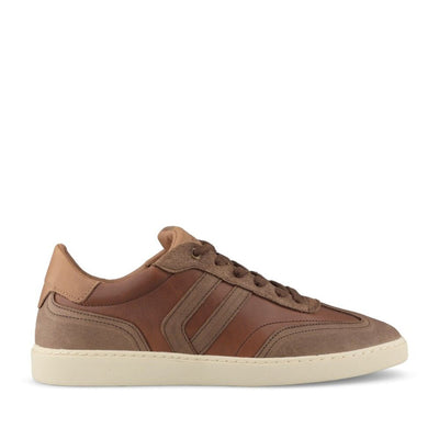 Mens Lloyd & Pryce Tizzano Casual Lace-up Shoe - Umber