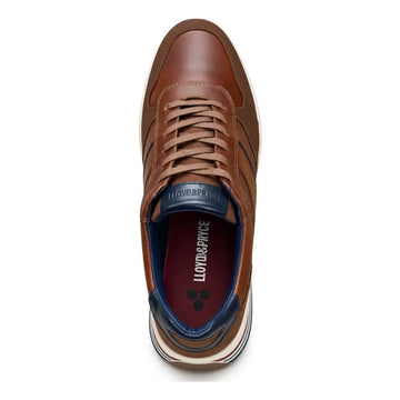 Mens Lloyd & Pryce Deaves Casual Lace-up Shoes - Umber