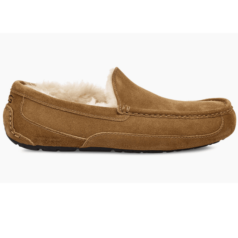 Ugg Mens Ascot Chestunt Suede Slippers - Brown
