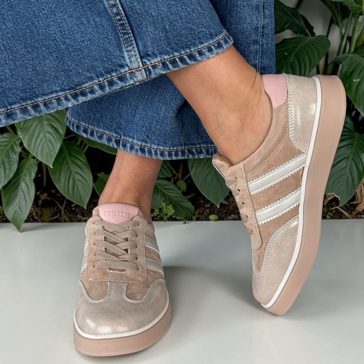 Womens Drilleys Seventy Five Trainers