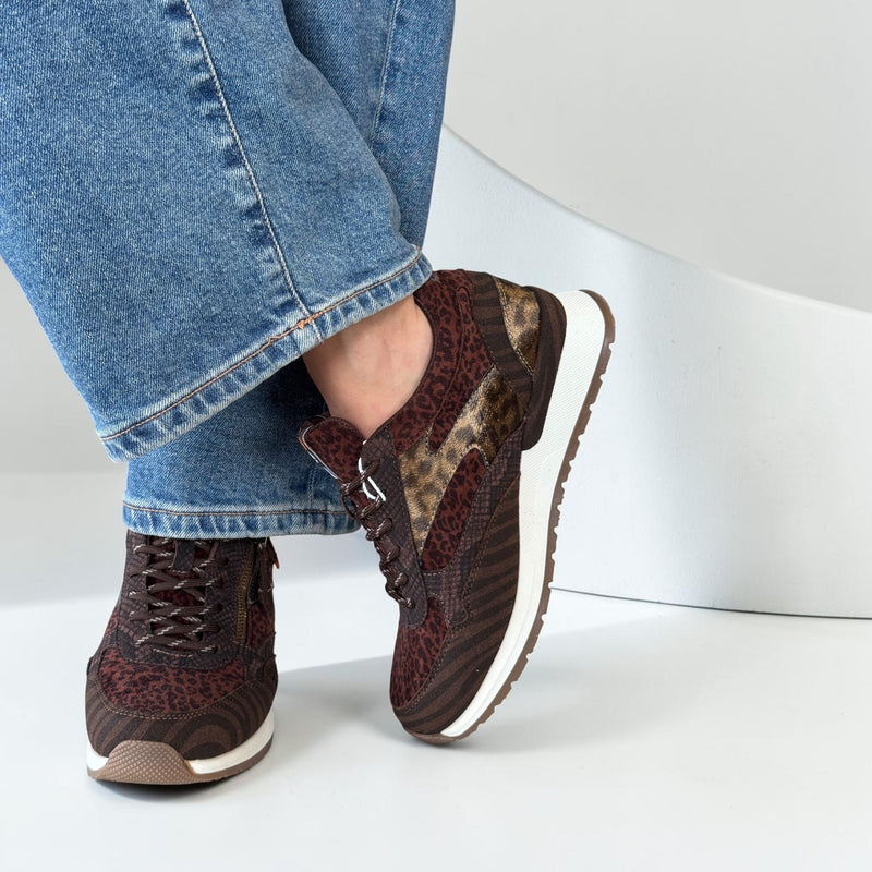 Womens Refresh 176219 Trainers - Brown