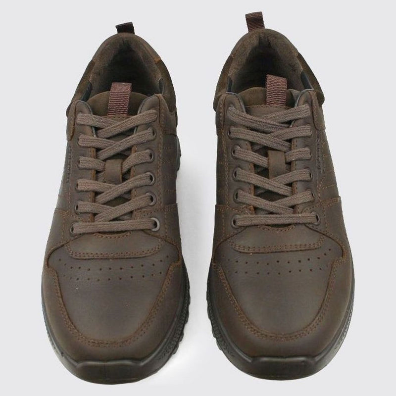 Mens Dubarry Summit Leather Trainers - Mahogany