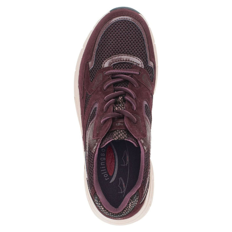 Womens Gabor 0306 Trainers - Mulberry