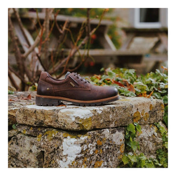 Mens Cotswold Ebrington Brown Work Shoes - Brown