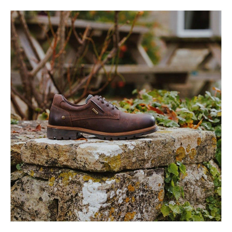 Mens Cotswold Ebrington Brown Work Shoes - Brown
