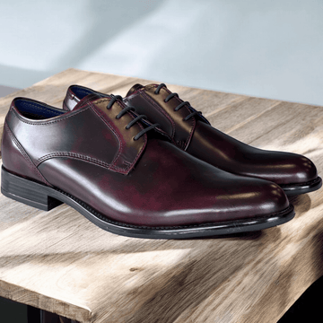 Dubarry Mens Dasher Smart Lace Up Shoes - Burgundy