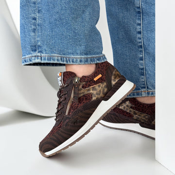 Womens Refresh 176219 Trainers - Brown