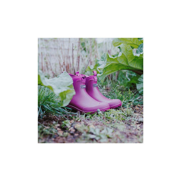 Womens Cotswold Grosvenor Berry Wellingtons - Berry