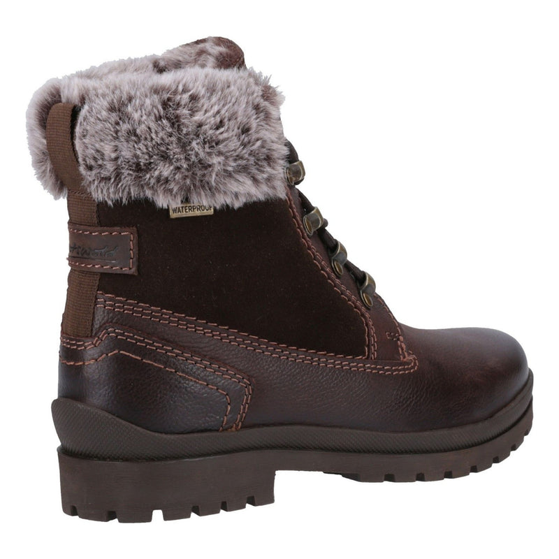 Womens Cotswold Evenlode Brown Ankle Boots - Brown